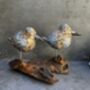Colourful Hand Carved Wooden Birds On Teak Root Stand, thumbnail 4 of 12