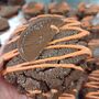 Chocolate Orange Cookie Sandwich – Terry's Topped, thumbnail 5 of 6