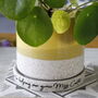 Personalised Thank You Teacher Hand Glazed Plant Pot, thumbnail 11 of 12