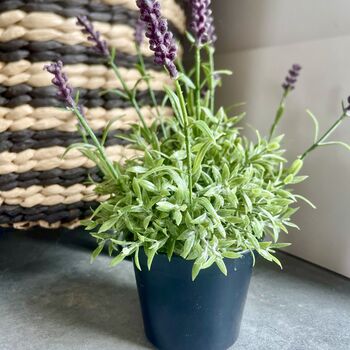 Artificial Lavender In Pot, 5 of 6
