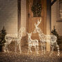 Duchy Dual Colour Micro LED Light Up Reindeer Family, thumbnail 1 of 4