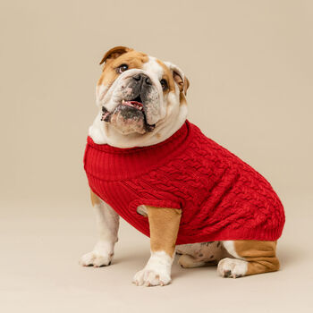 Plain Knitted Red Dog Jumper, 4 of 6