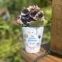 Sea Shells Personalised Plant Pot, thumbnail 1 of 7