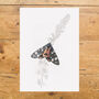 Scarlet Tiger Moth Giclée Art Print, thumbnail 3 of 3