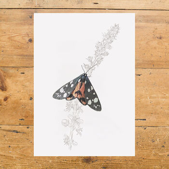 Scarlet Tiger Moth Giclée Art Print, 3 of 3