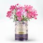 Grow Your Own Birth Flowers Tin Personalised Name Gift, thumbnail 10 of 12