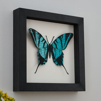 Personalised Papercut 3D Butterfly Framed Print Gift, 8 of 9