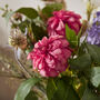 Dahlia Floral Bouquet In Glass Vase, thumbnail 3 of 5