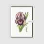 Art Greeting Card Iris Susiana, thumbnail 1 of 3