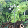 Three X 5 Ft Cow Parsley Pin Ready Rusted, thumbnail 2 of 2