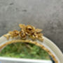 20cm Cream And Gold Decorative Wall Mirror – Floral Motif, thumbnail 4 of 12