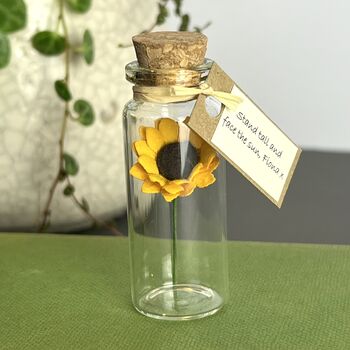 Tiny Sunflower In A Bottle With Personalised Message, 12 of 12