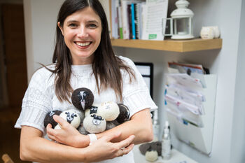 The Great British Flock – Collector's Edition Wool Dryer Balls. Gift For Sheep Lovers, 2 of 5