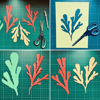 Seaweed 04 Papiers Decoupes Modern Art Print, 3 of 4
