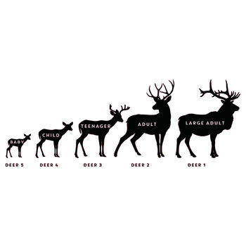 Personalised Stag Family Wall Sticker Gift For Family, 3 of 3