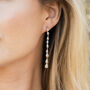 Paris Rhodium, Gold Or Rose Gold Plated Drop Earrings, thumbnail 1 of 8