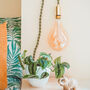 Macrame Hanging Accent Lamp With Globe Bulb, thumbnail 8 of 11