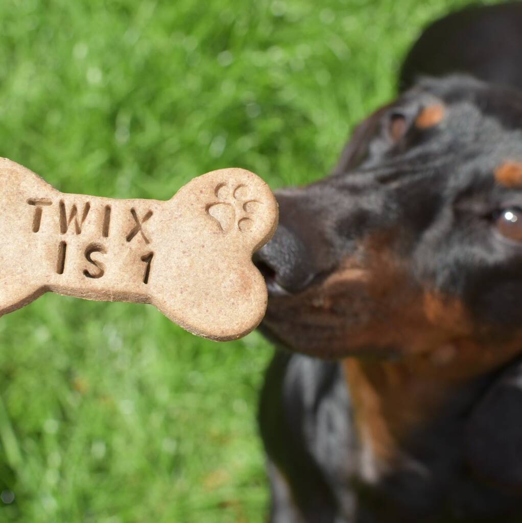 Personalised Dog Birthday Biscuits Gift Set By Afternoon