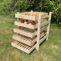 Traditional Five Drawer Wooden Apple Storage Racks Set Of Two, thumbnail 2 of 9