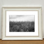 Wild Grasses I, Occold Photographic Art Print, thumbnail 1 of 4