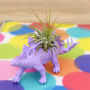 Pastel Colour Dinosaur Planter With Plant, thumbnail 2 of 12