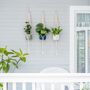 Pack Of Three Indoor Wall Hanging Planter Basket, thumbnail 1 of 5