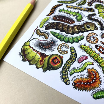 Caterpillars Of Britain Watercolour Postcard, 3 of 9