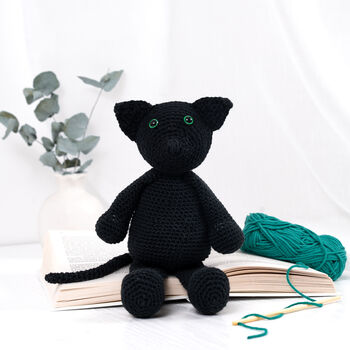 Merlin Cat Easy Crochet Kit, 4 of 10