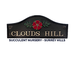 Clouds Hill Succulents