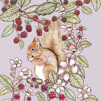 'Squirrel And Blackberries' Print, 3 of 3
