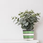 Striped Recycled House Plant Pot Covers Three Sizes, thumbnail 7 of 12