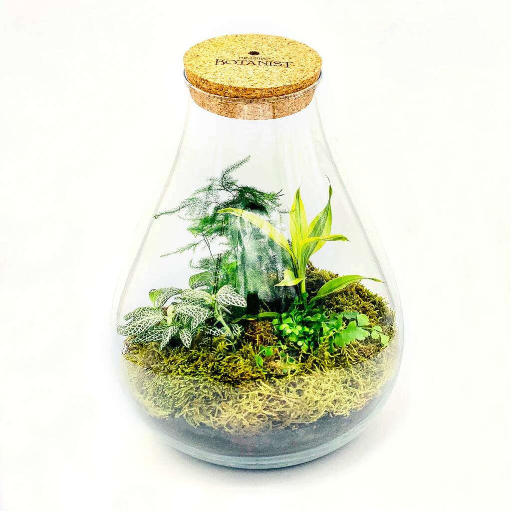 Image of Limited Edition Teardrop Ecosystem