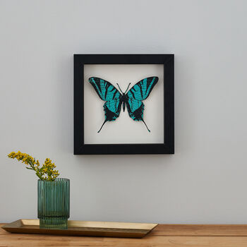 Personalised Papercut 3D Butterfly Framed Print Gift, 5 of 9
