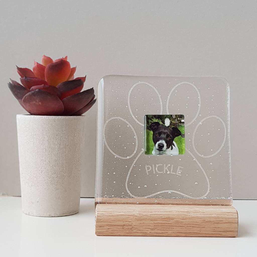 Mini Personalised Paw Photograph Display Frame By Martasha Personalised