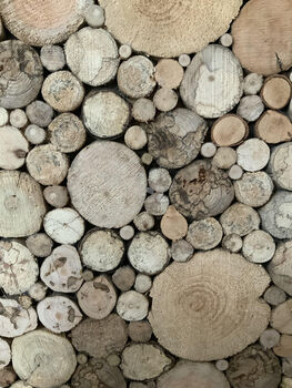 Driftwood Mosaic, 3 of 3