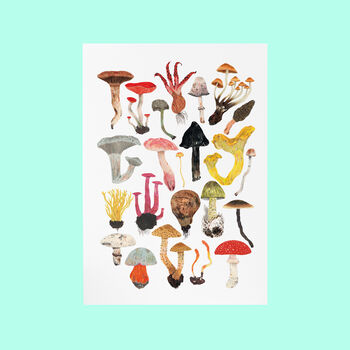 Mushroom And Toadstools Print, 4 of 8
