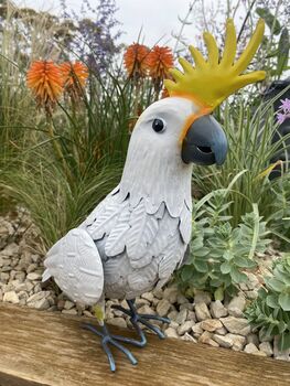 Metal Cockatiel Ornament, 5 of 6