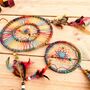 Large Double Rainbow Colours Hemp Dream Catcher, thumbnail 10 of 10