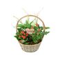 Christmas Plant Basket Rose, Peace Lily And Kalanchoe Gift Set, thumbnail 3 of 3