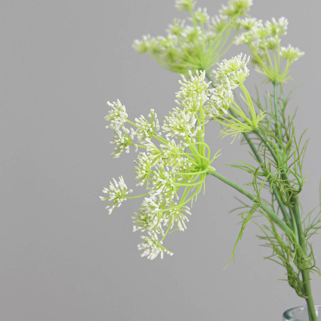 artificial queen anne lace 67 cm spray by marquis & dawe