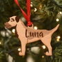 Border Terrier Personalised Dog Wooden Decoration, thumbnail 3 of 7