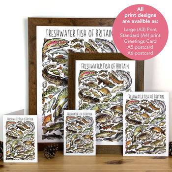 Freshwater Fish Of Britain Greeting Card, 7 of 7