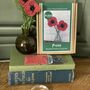 Poppy Beaded Flower Craft Kit, thumbnail 3 of 4