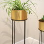 Copper Plant Stand Two Sizes, thumbnail 4 of 4