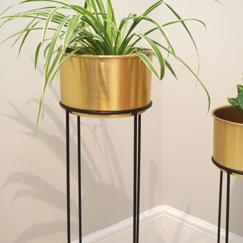 Copper Plant Stand Two Sizes, 4 of 4