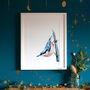Inky Nuthatch Illustration Print, thumbnail 6 of 12