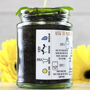Personalised 'Don't Kill Me' Sunflower Jar Grow Kit, 9 of 12