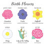 Hand Iced Carnation January Birth Flower, thumbnail 4 of 5