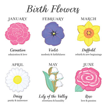 Hand Iced Carnation January Birth Flower, 4 of 5