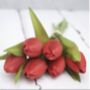 Everlasting Tulip Bouquet, thumbnail 1 of 6